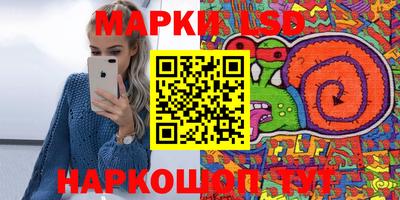 стаф Кандалакша