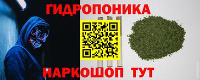 стаф Кандалакша