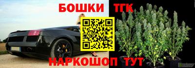 стаф Кандалакша