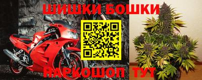 стаф Кандалакша