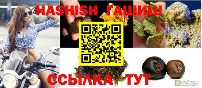стаф Кандалакша